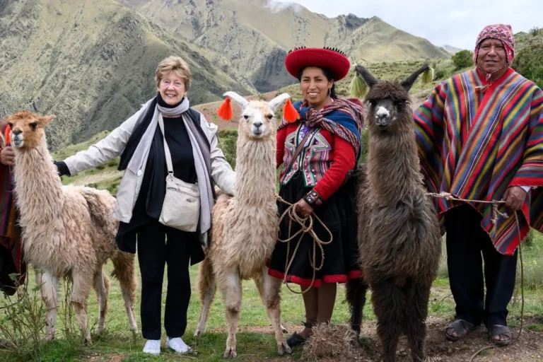 Alpaca & Llama Vibes em Chinchero